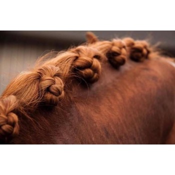 Quick Knot Deluxe 35 stk Brun til rosenknopper