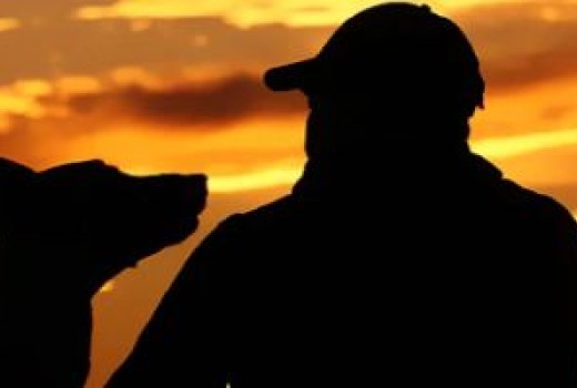 Sikker og Synlig Hund i Mørket: Din Guide til Vinterens Gåture