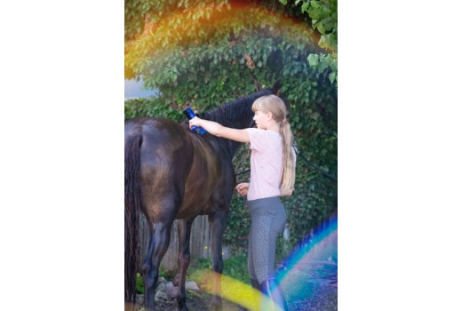 Pas på Din Hest i Sommerheden: En Guide til At Forebygge Varmestress