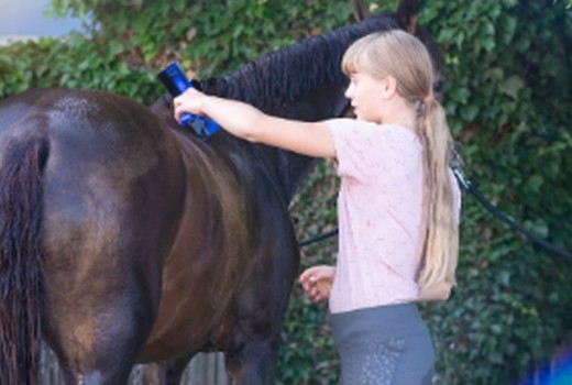 Pas på Din Hest i Sommerheden: En Guide til At Forebygge Varmestress