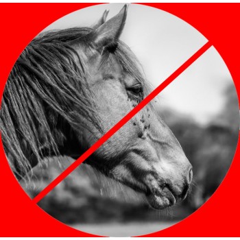 Wunder Gel 300 gram Wunder Gel 300 gram