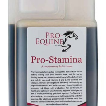 Pro-Stamina 0,5 liter Datovare