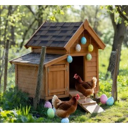 til Have, høns og fugle