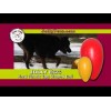 Jolly Egg Rød S (20 cm) Jolly Egg Rød S (20 cm)