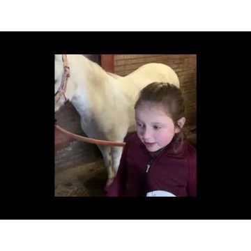 Enhjørningsglansspray Lucky Horse