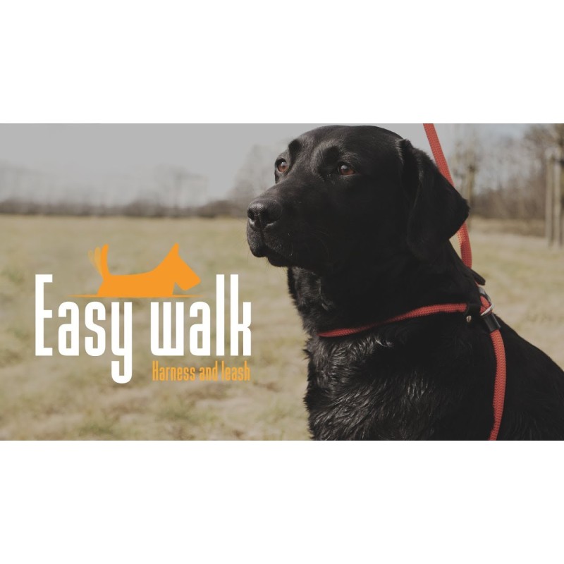 Easy Walk Skuldermodel Rød - Mini Easy Walk Skuldermodel Rød - Mini