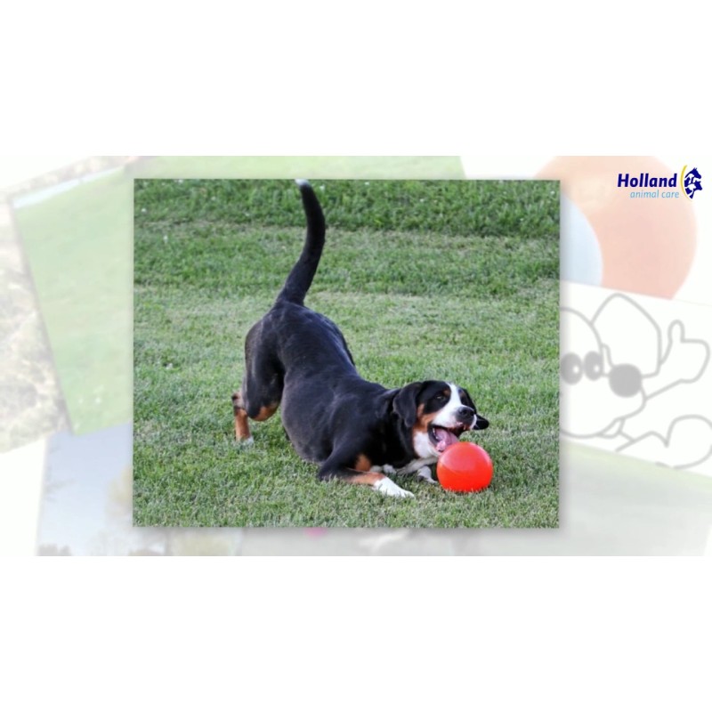 Jolly Bounce-n Play Rød L (20 cm) Jolly Bounce-n Play Rød L (20 cm)