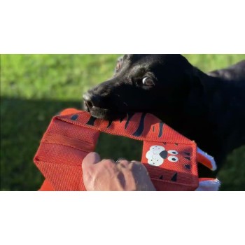 Billy Bengal Octagon Jeffrey Jungle Hozies Billy Bengal Octagon Jeffrey Jungle Hozies