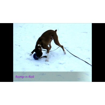 Romp-n-Roll Rød S (11 cm) Jolly