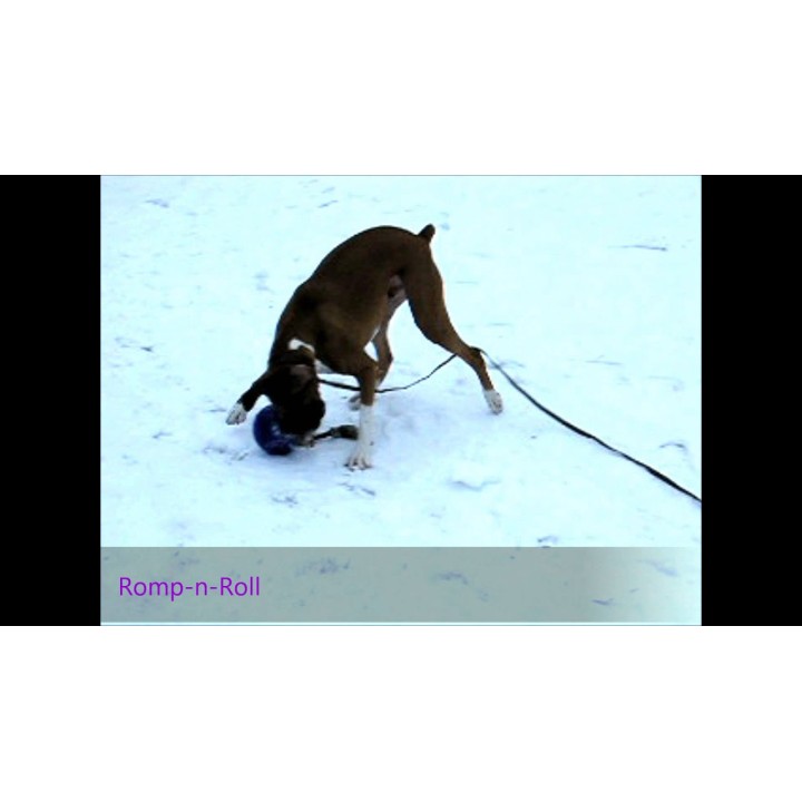 Legebold Romp-n-Roll Blå medium 15 cm  Jolly