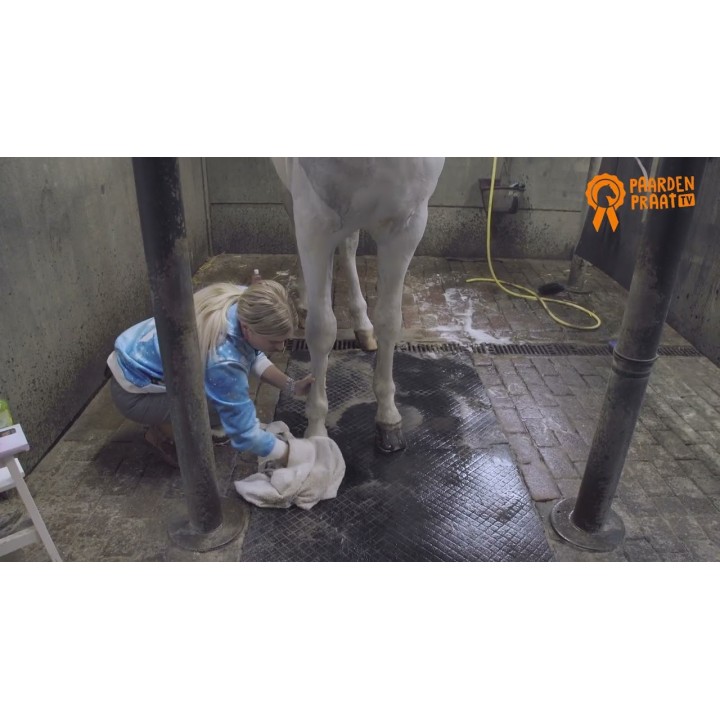 Hov olie 500 ml PaardenpraatTV