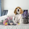 Bunny Puppy Sprød tyggegummi Bunny Puppy Sprød tyggegummi