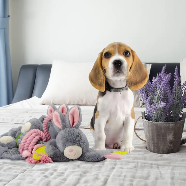 Sprød tygge Bunny Puppy Hundelegetøj Sprød tygge Bunny Puppy Hundelegetøj