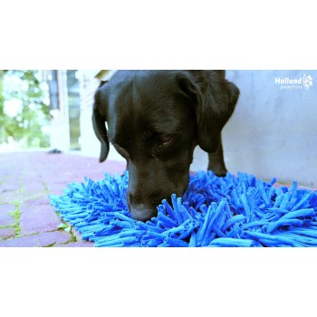 Eat Slow Live Longer Legemåtte Grå Eat Slow Live Longer Legemåtte Grå