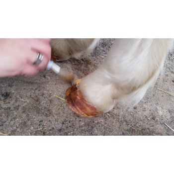 Hovolie gel 400 gram Excellent Horse Hovolie gel 400 gram Excellent Horse