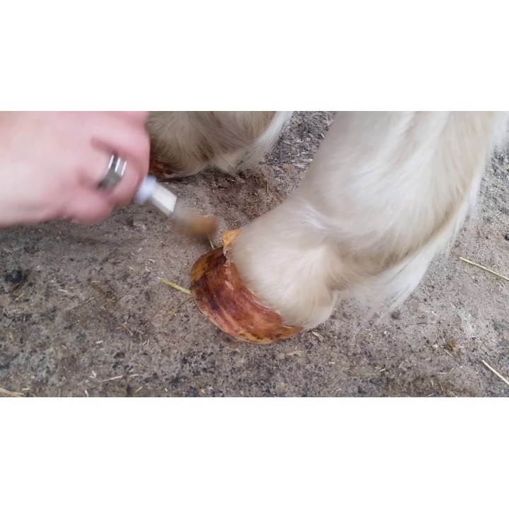 Hovoliegel 800 gram Excellent Horse