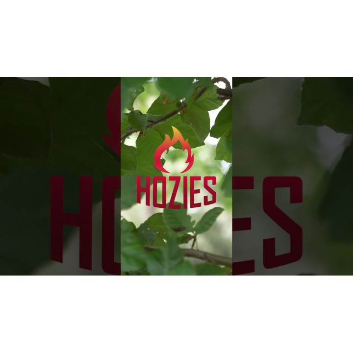 Billy Bengal M Hozies