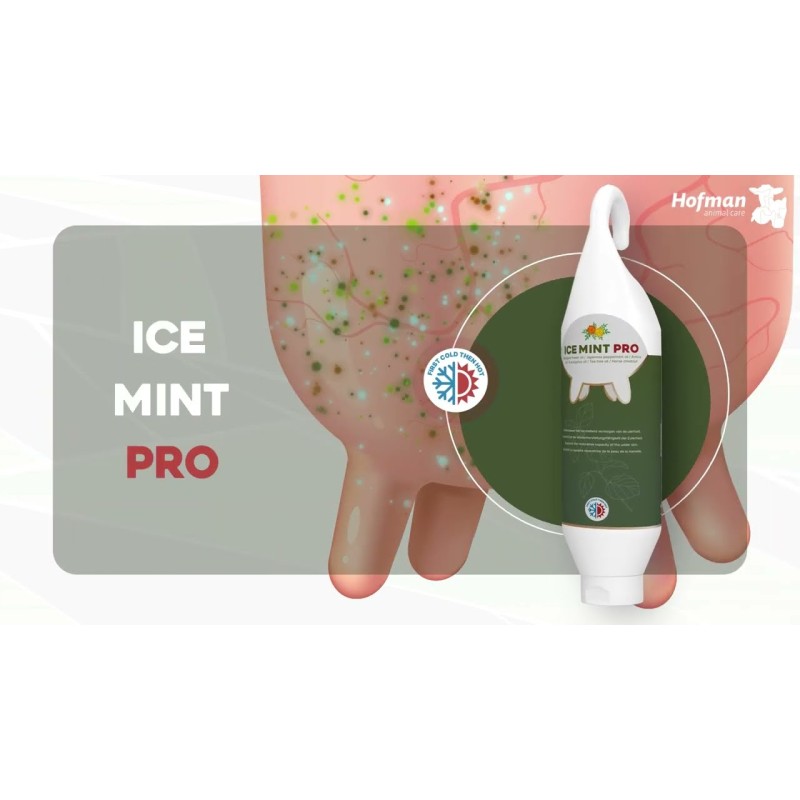 Ice Mint Pro Gel 2,5 l med doseringspumpe L14cm