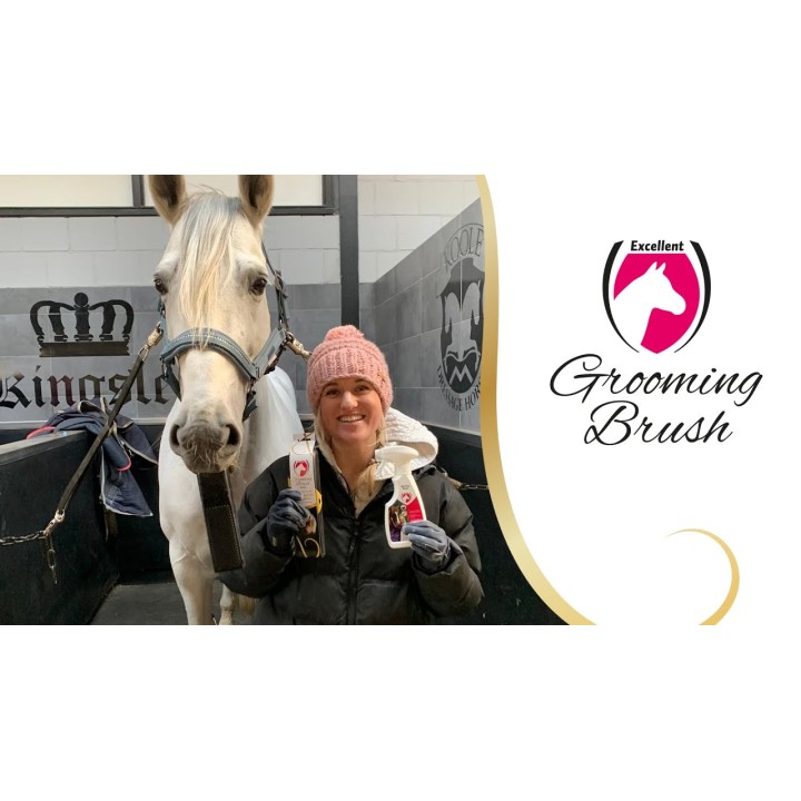 Plejebørste Sort medium Excellent Horse P