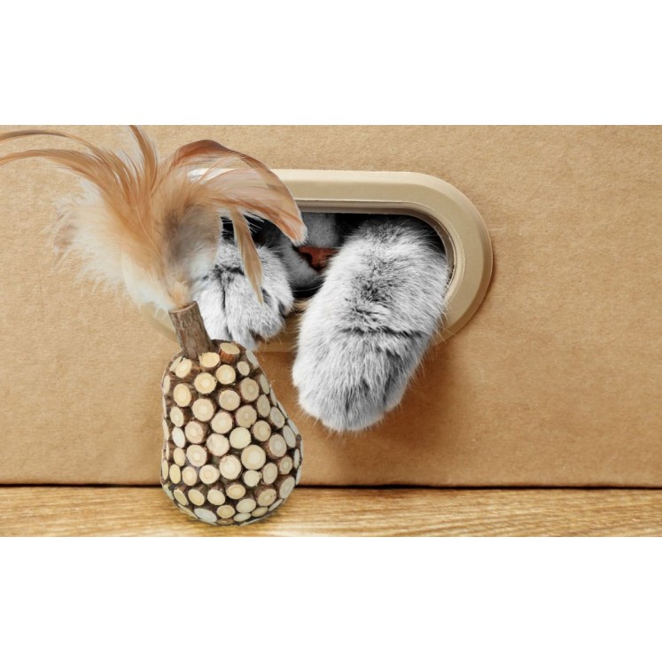 Hold dig til larve og fjer kattelegetøj Addicted!