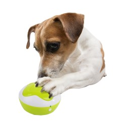 til Hunde