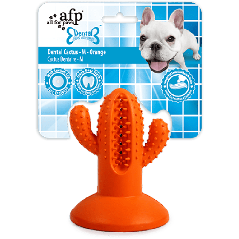 AFP Tandlægetyggepinde - Dental Cactus M Orange AFP Tandlægetyggepinde - Dental Cactus M Orange