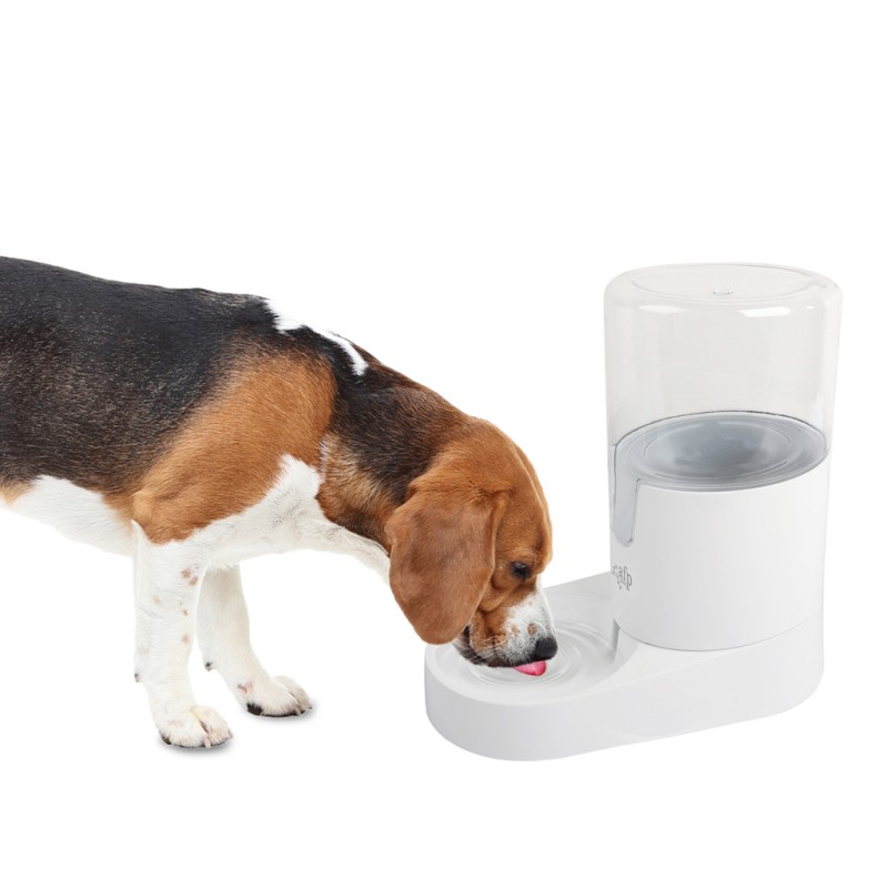 AFP Lifestyle 4 Pets Gravity Vandkrukke til kæledyr AFP Lifestyle 4 Pets Gravity Vandkrukke til kæledyr