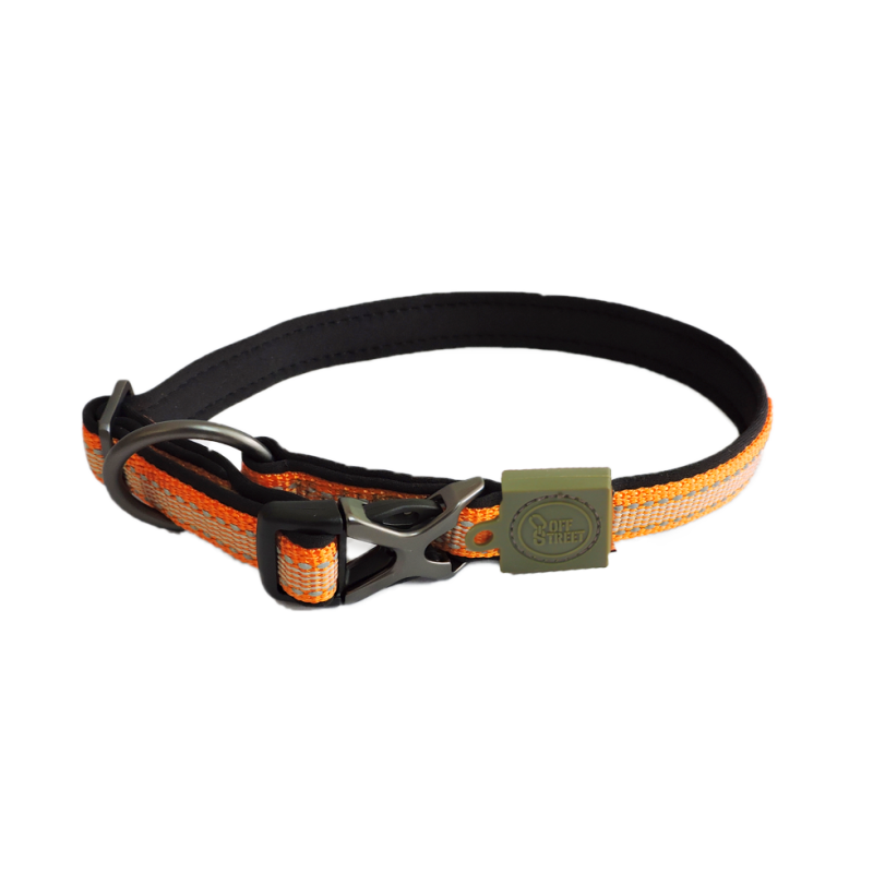Hundehalsbånd Tangarine S AFP Off Street Hundehalsbånd Tangarine S AFP Off Street