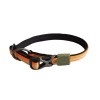 Hundehalsbånd Tangarine M AFP Off Street