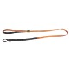 Off Street - Hundesnor Tangarine S AFP