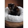 AFP Lammeuld - Donutseng Beige AFP Lammeuld - Donutseng Beige