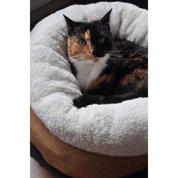 Lammeuld - Donutseng Beige AFP Lammeuld - Donutseng Beige AFP