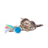 AFP Modern Cat Dizzy Spinner AFP Modern Cat Dizzy Spinner