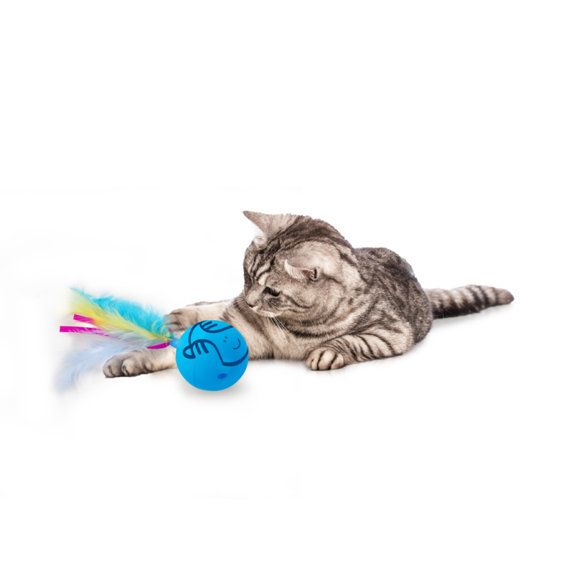 AFP Modern Cat Dizzy Spinner AFP Modern Cat Dizzy Spinner