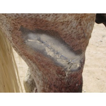 Aluminiumspray 200ml Excellent Aluminiumspray 200ml Excellent