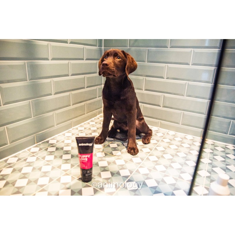 Animology Puppy Love hvalpeshampoo 250 ml Animology Puppy Love hvalpeshampoo 250 ml