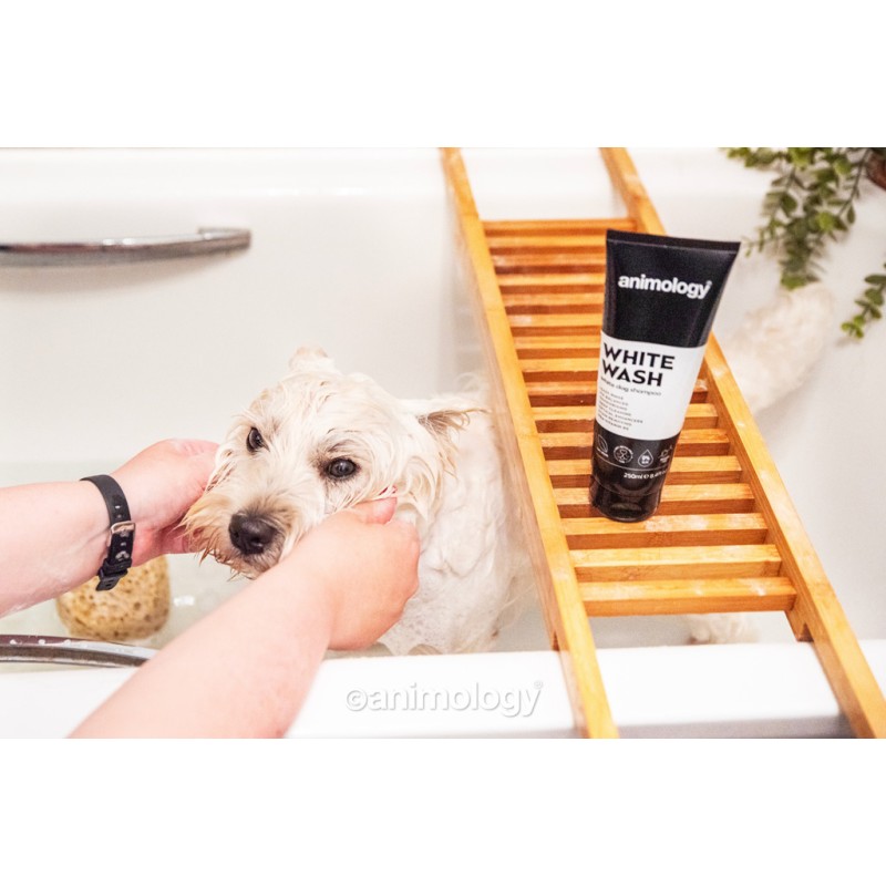Hvidvasket hundeshampoo 250 ml Animology Hvidvasket hundeshampoo 250 ml Animology