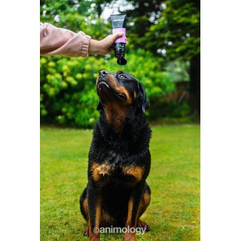 Loppe- og flåtshampoo til hunde 250 ml Animology Loppe- og flåtshampoo til hunde 250 ml Animology