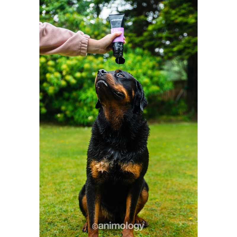 Animology Loppe- og flåtshampoo til hunde 250 ml Animology Loppe- og flåtshampoo til hunde 250 ml