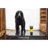 Animology Fox Poo Hundeshampoo 250 ml Animology Fox Poo Hundeshampoo 250 ml