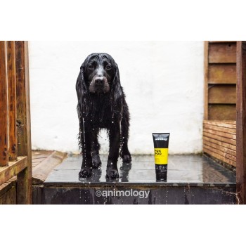 Fox Poo Hundeshampoo 250 ml Animology Fox Poo Hundeshampoo 250 ml Animology