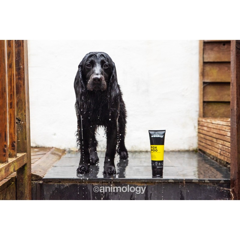 Animology Fox Poo Hundeshampoo 250 ml Animology Fox Poo Hundeshampoo 250 ml