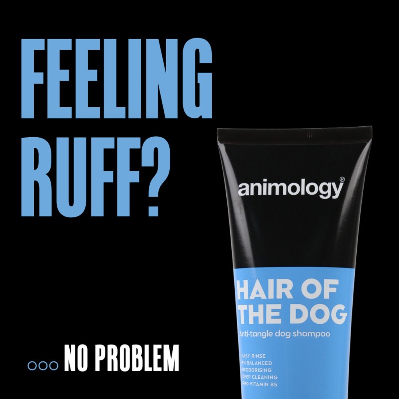 Animology Hair Of The Dog Anti-Tangle Hundeshampoo 250 ml Animology Hair Of The Dog Anti-Tangle Hundeshampoo 250 ml