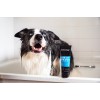 Animology Hair Of The Dog Anti-Tangle Hundeshampoo 250 ml Animology Hair Of The Dog Anti-Tangle Hundeshampoo 250 ml