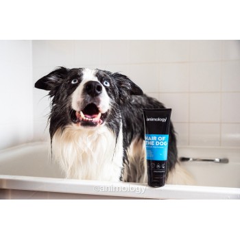 Hair Of The Dog Anti-Tangle Hundeshampoo 250 ml Animology Hair Of The Dog Anti-Tangle Hundeshampoo 250 ml Animology