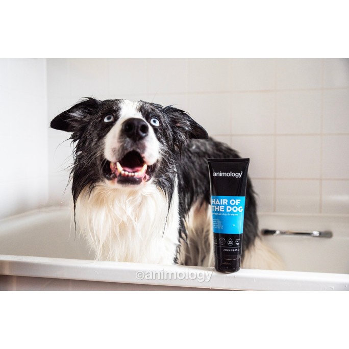 Hair Of The Dog Anti-Tangle Hundeshampoo 250 ml Animology