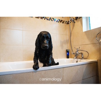 Top Hundebalsam 250 ml Animology Top Hundebalsam 250 ml Animology