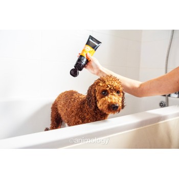 Hundeshampoo med krøllet pels 250 ml Animology Hundeshampoo med krøllet pels 250 ml Animology