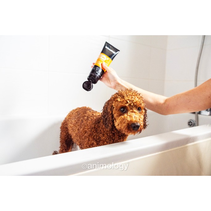 Hundeshampoo med krøllet pels 250 ml Animology