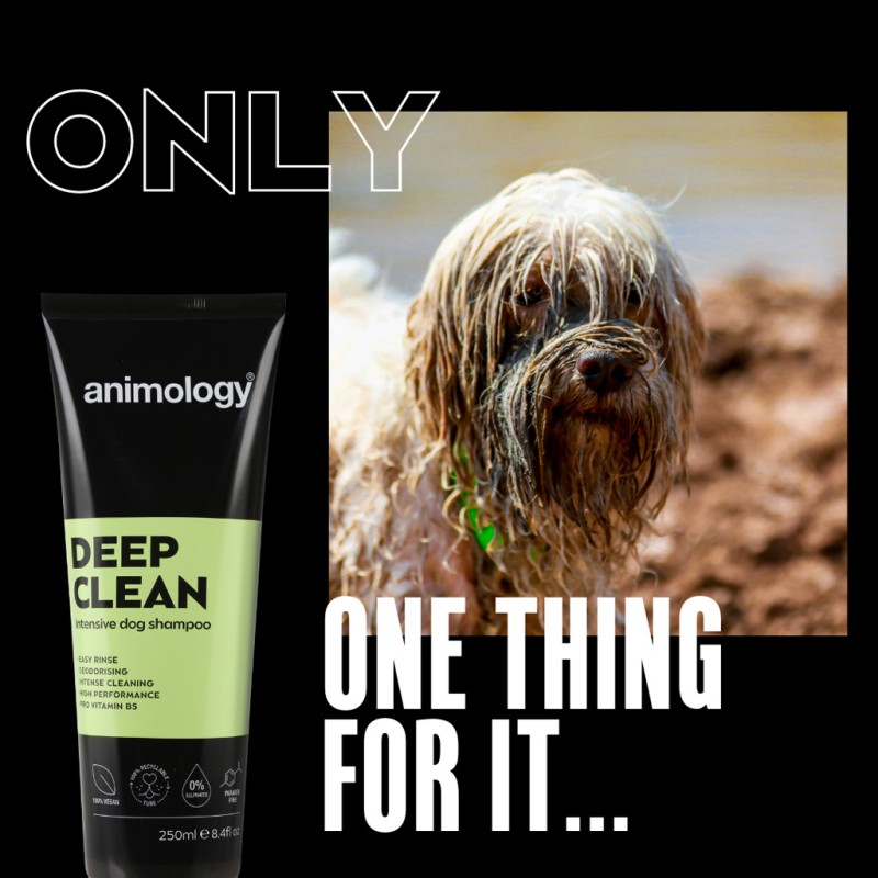 Animology Dybrensende intensiv hundeshampoo 250 ml Animology Dybrensende intensiv hundeshampoo 250 ml